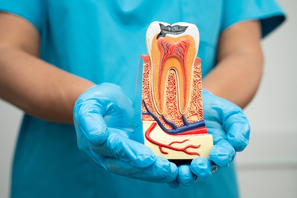 How Modern Technology Has Made Root Canals Painless